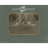 1920 - Visegrád. Cheerful moments. The people in the picture and the photographer are unknown. Old photo. Black and white photo, original paper photo. (2793631)