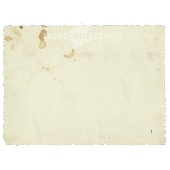 Family photo, group photo from the 1910s. The people in the photo and the photographer are unknown. Old photo. Black and white photo, original paper photo. (2793646)