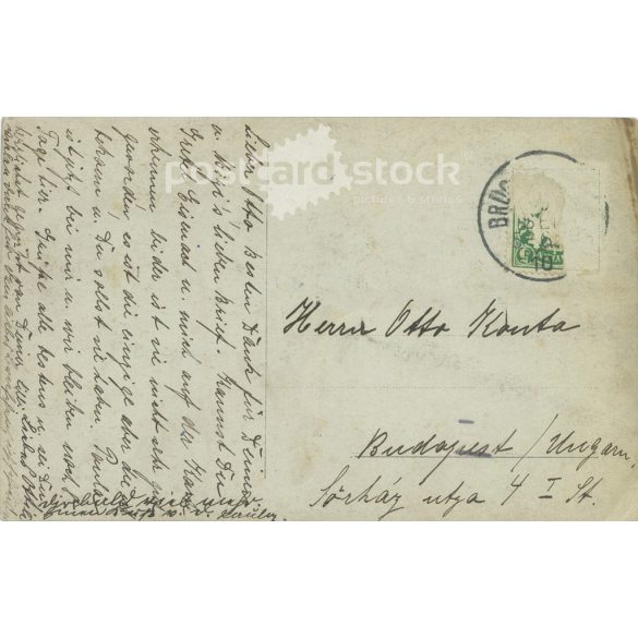 1910s. Group photo of people on vacation. The people in the photo and the photographer are unknown. Original old photo. Black and white photo, old postcard. (2793647)