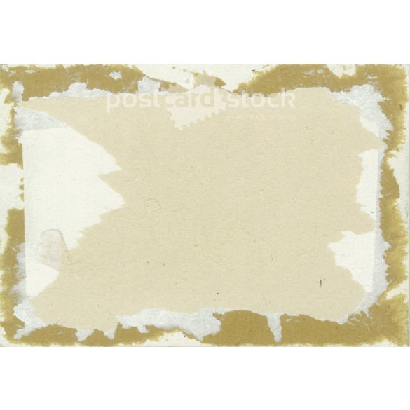 Family photo with children. The people in the photo and the photographer are unknown. Original old photo. Black and white, laminated photo, original paper photo. (2793650)