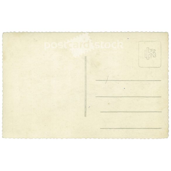 Cheerful company at a family gathering. The people in the picture and the photographer are unknown. Original old photo. Black and white photo sheet, old postcard. (2793651)