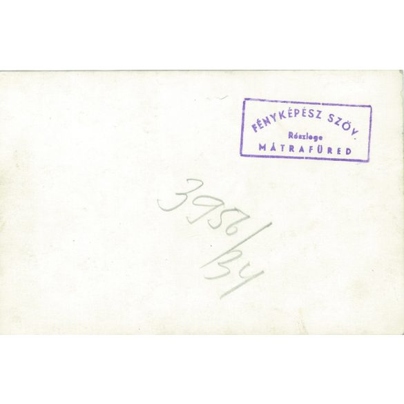 On a company trip in Mátrafüred. The identity of the people in the photo is unknown. The photo is the work of the photographer’s cooperative. Old photo. Black and white photo, original paper image. (2793652)