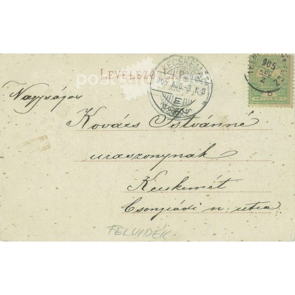 1905 - Trenčín-Teplice, Sanatorium. Published by Zsigmond Werheim. Color offset print, photo sheet, old postcard, based on an original old photo. (2793657)