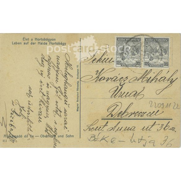 Hortobágy’s biography. Edition of the tax collector and his son. Original old photo. Colored photo sheet, old postcard. (2793660)