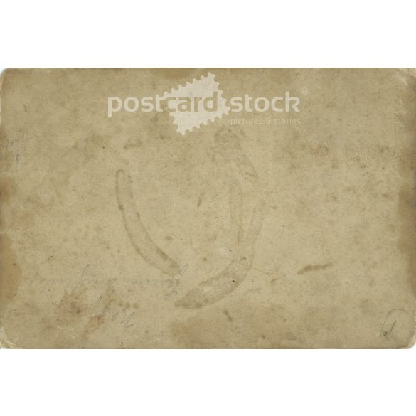 Late 1800s. Family group photo in the garden. The people in the photo and the photographer are unknown. Original old photo. Black and white, laminated photo, original paper photo. (2793672)