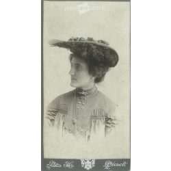   Circa 1890 - Elegant lady in a hat, studio photo. The picture was taken in the photo studio of Hermin Pátz, Pécs. Old photo. Original cabinet photo / hardback photo / business card, CDV photo. (2793772)