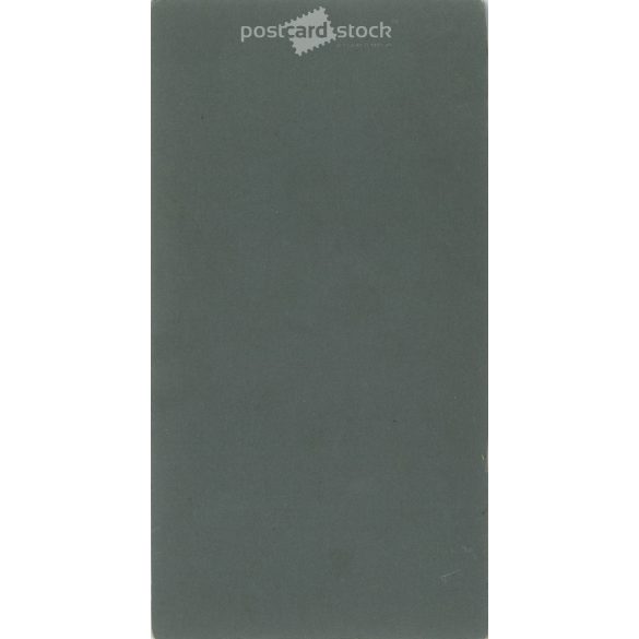 Circa 1890 - Elegant lady in a hat, studio photo. The picture was taken in the photo studio of Hermin Pátz, Pécs. Old photo. Original cabinet photo / hardback photo / business card, CDV photo. (2793772)