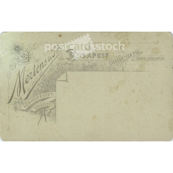 1890 - Military photo. The picture was taken in the Mertens and Tsa photo studio in Budapest. Old photo. Original cabinet photo / hardback photo / business card, CDV photo. (2793773)