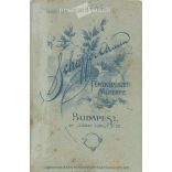 Circa 1910 - Military photo. The photo was taken in Ármin Schaffer’s photo studio in Budapest. The person in the photo and the photographer are unknown. Old photo. Original cabinet photo / hardback photo / business card, CDV photo. (2793774)