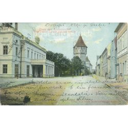   1905 - Sibiu, city theater, Transylvania. Original old photo. Colored photo, old postcard. (2793779)