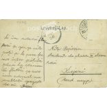 1905 - Sibiu, city theater, Transylvania. Original old photo. Colored photo, old postcard. (2793779)