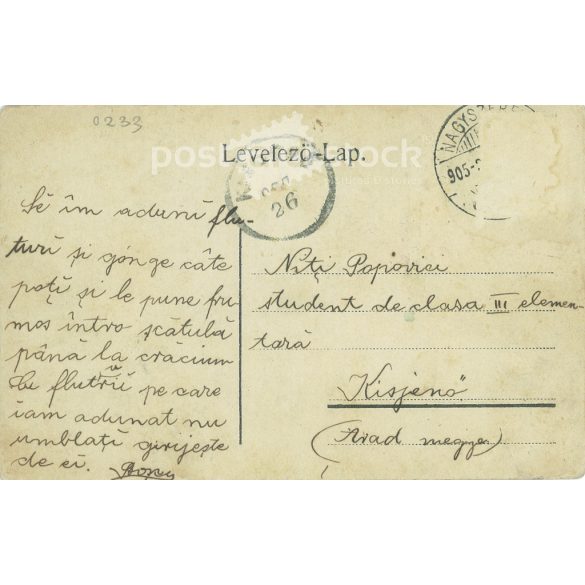 1905 - Sibiu, city theater, Transylvania. Original old photo. Colored photo, old postcard. (2793779)