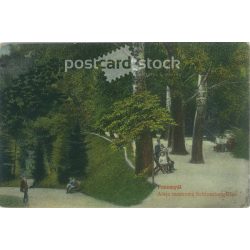   1919 - Przemyśl city in Poland, in the Transcarpathian Voivodeship. Original old photo. Colored photo sheet, old postcard. (2793841)