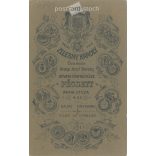 Circa 1900 - Studio photo of a young man, Pécs. The picture was taken in the studio of Károly Zelesny, Pécs. Original  Cabinet card / CDV photo / hardback photo. (2793844)