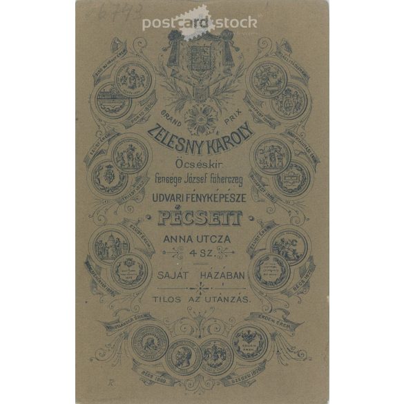 Circa 1900 - Studio photo of a young man, Pécs. The picture was taken in the studio of Károly Zelesny, Pécs. Original  Cabinet card / CDV photo / hardback photo. (2793844)