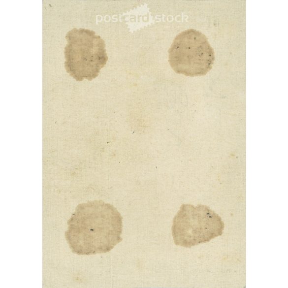 Afternoon in the park. Family photo. The people in the photo and the photographer are unknown. Original old photo. Black and white, laminated photo, original paper photo. (2793850)