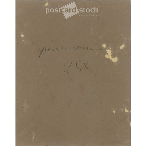 Circa 1905 - Photo of Anna Piros. The photo was taken in the photo studio of József Hollósi, Subotica. Original old photo. Black and white, laminated photo, original paper image. (2793853)