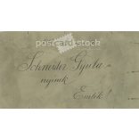 1913 - Studio photo of Gyula Schneider and his wife. The photo was taken in Dezső Rozgonyi’s photo studio in Budapest. Original old photo. Black and white, laminated photo, original paper image. (2793855)