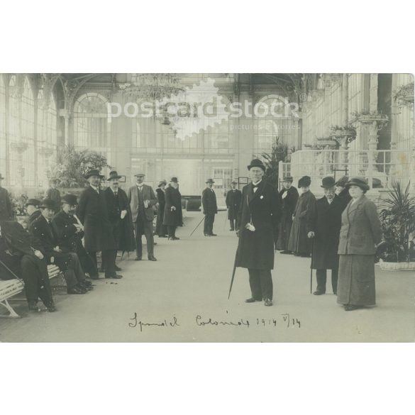 1914 - Karlsbad. The people in the picture and the photographer are unknown. Original old photo. Black and white photo, old postcard. (2793870)