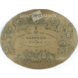 Circa 1900 - Family group photo. The identity of the people in the photo is unknown. The photo was taken in Carposio’s photo studio in Rijeka. Old photo, cropped. Original  Cabinet card / CDV photo / hardback photo. (2793872)