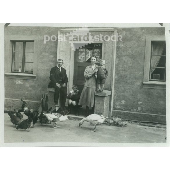 1930 - Family group photo at the entrance, with pets. The people in the photo and the photographer are unknown. Original old photo. Black and white photo, original paper photo. (2793873)