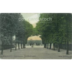   1907 - Schönbrunn, Vienna. Original old photo. Colored photo, old postcard. (2793874)
