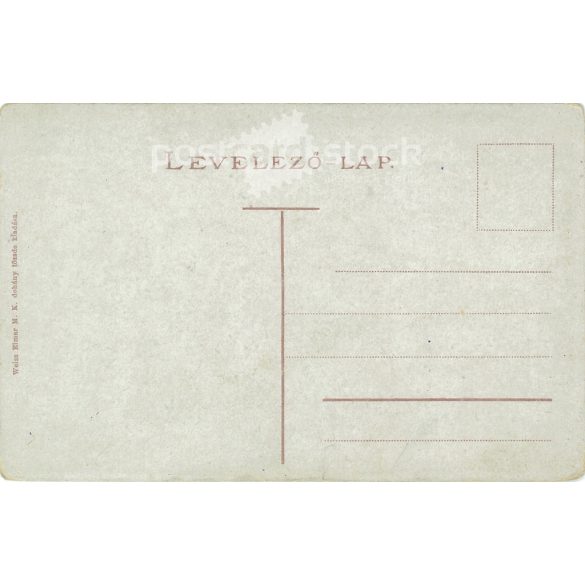 Máramaros-Sziget, Austro-Hungarian Bank Palace. Built between 1906-1907, based on the plans of the Budapest architect Alpár Ignácz. Original old photo. Colored photo, old postcard. (2793881)