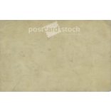 Photo of a young girl. The person in the photo and the photographer are unknown. Original old photo. Black and white photo, original paper photo. (2793888)