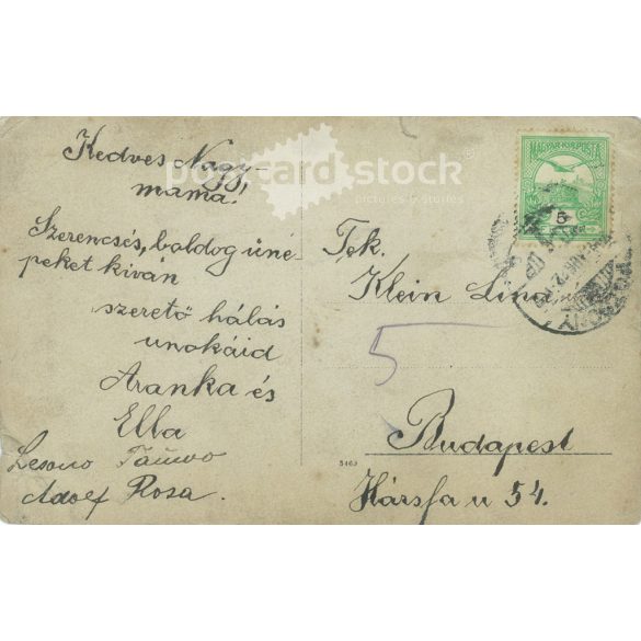 Early 1900s. Aranka and Ella. The photographer is unknown. Original old photo. Black and white photo, old postcard. (2793890)