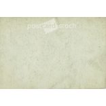 Photo of a young girl with a bow. The person in the photo and the photographer are unknown. Original old photo. Black and white photo, original paper image. (2793892)