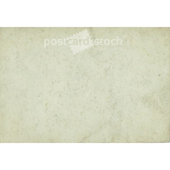 Photo of a young girl with a bow. The person in the photo and the photographer are unknown. Original old photo. Black and white photo, original paper image. (2793892)