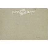 Group photo, during a festive event outdoors. The identity of the people in the photo and the photographer are unknown. Old photo. Original  Cabinet card / CDV photo / hardback photo. (2793898)