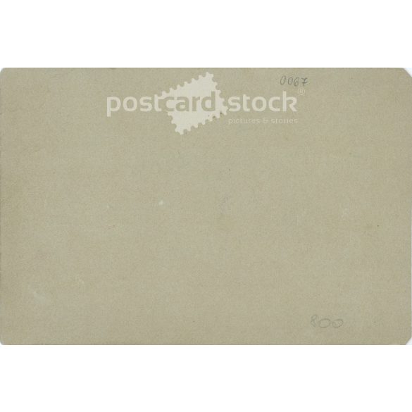 Group photo, during a festive event outdoors. The identity of the people in the photo and the photographer are unknown. Old photo. Original  Cabinet card / CDV photo / hardback photo. (2793898)